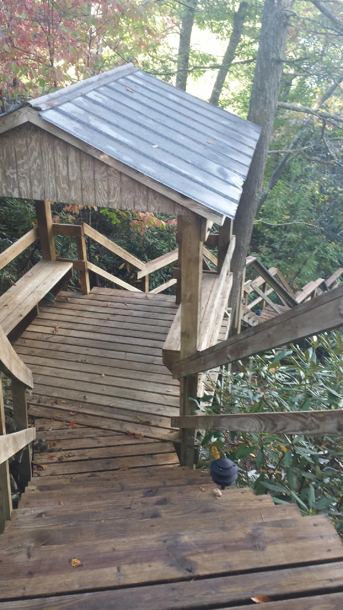 Metal roofed shelter over wooden steps on a wooded walkway — Skylight Repair & Installation work by our crew in Roseboro